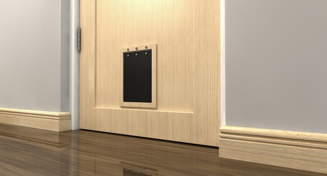 Cat Flap Installation Holloway, N7