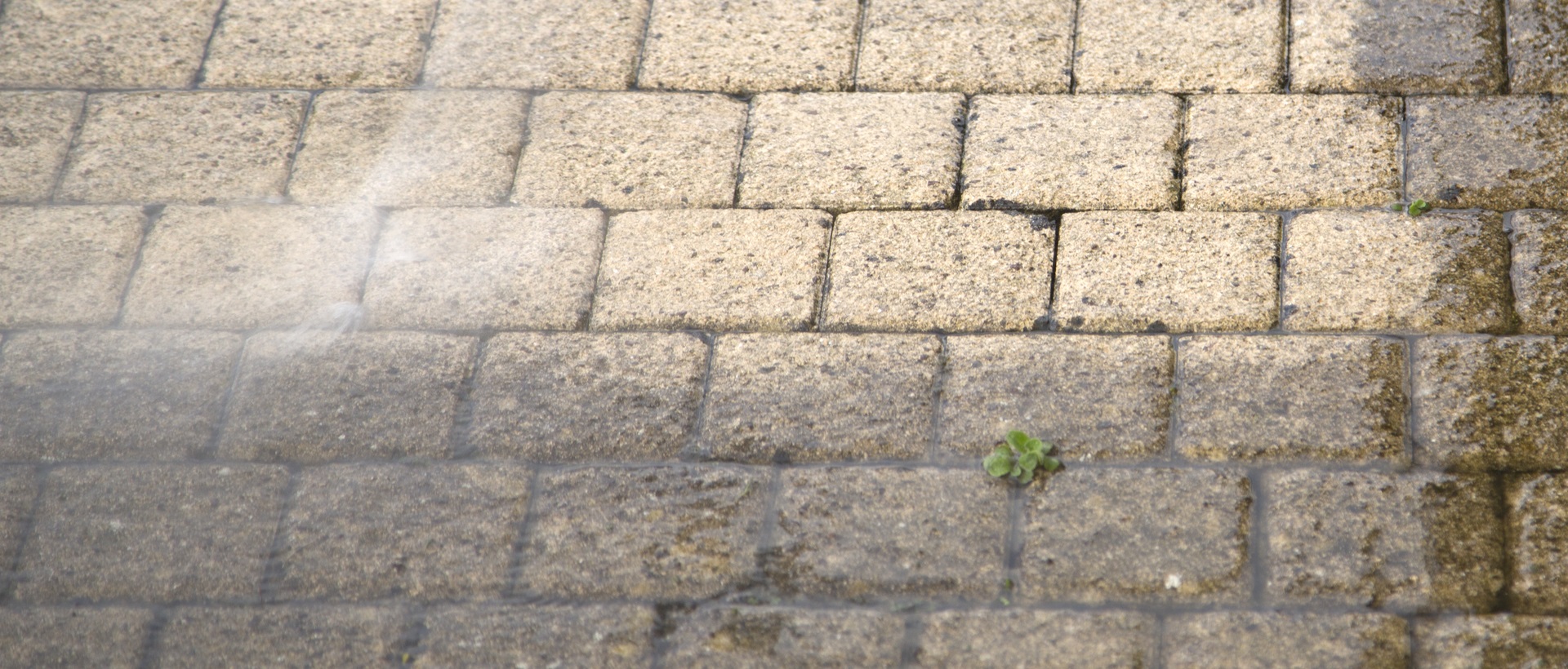 flagging and patios N7